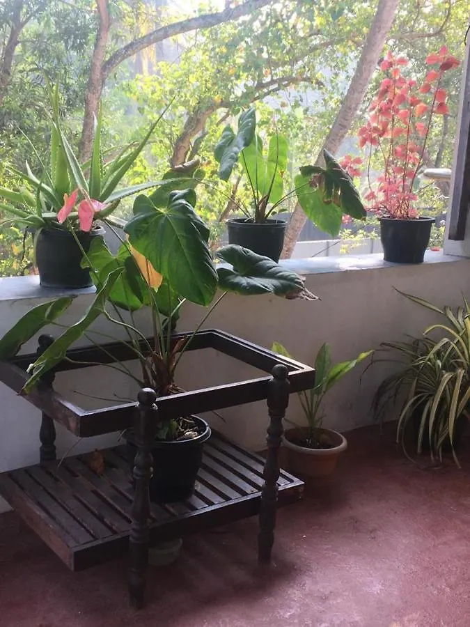 Marari Sibiya Beach Villa Mararikulam