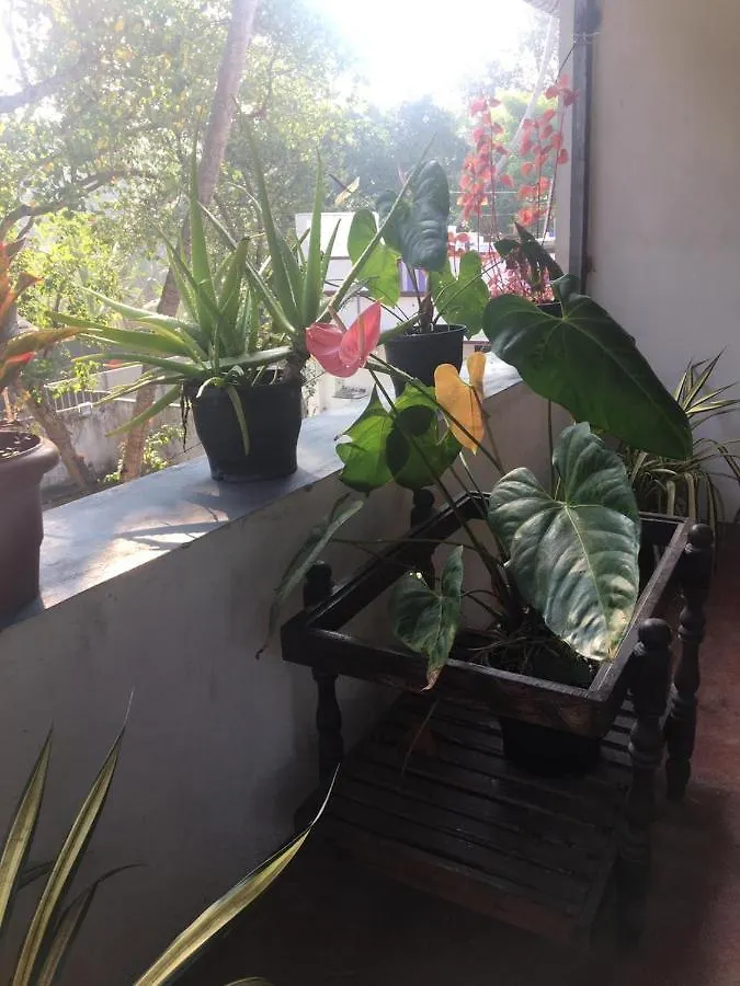 Marari Sibiya Beach Villa Mararikulam