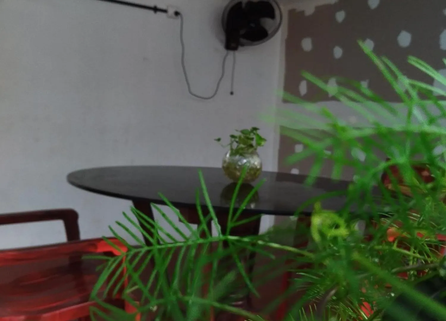 Homestay Marari Sibiya Beach Villa Mararikulam